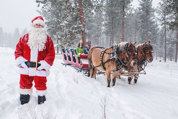 Paws Up Santa Montana Christmas